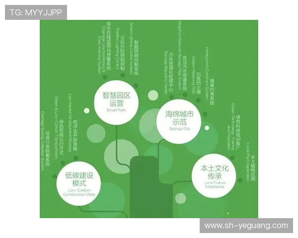 福建浔兴股份深化产业布局 助力数字化转型与绿色发展双轮驱动 福建浔兴股份深化产业布局 助力数字化转型与绿色发展双轮驱动