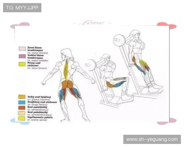如何科学安排健身计划提升肌肉力量与耐力实现身体健康全面进阶