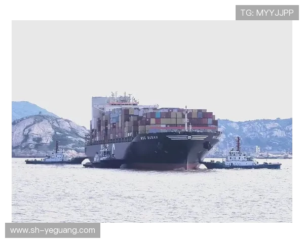 上海海港发展新机遇:打造全球物流枢纽推动经济高质量增长 上海海港发展新机遇:打造全球物流枢纽推动经济高质量增长