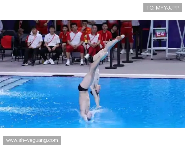 以跳水运动展现人类挑战极限与追求完美的力量与优雅