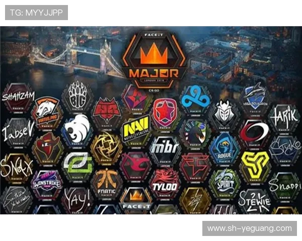 EDG战队在CSGO赛场的实力蜕变与未来展望分析