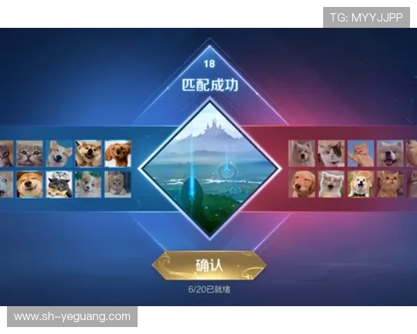 V5逆袭之路揭秘：洲际赛上的荣耀与挑战全景回顾