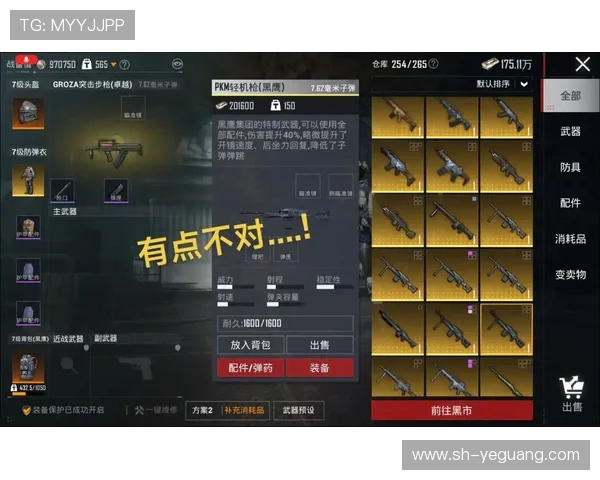 和平精英纪实：见证BLG从新秀到强队的成长历程与奋斗故事