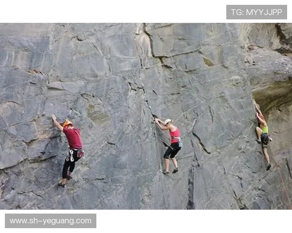 武汉攀岩队灵活性变革引发热议探索攀岩运动的新发展方向