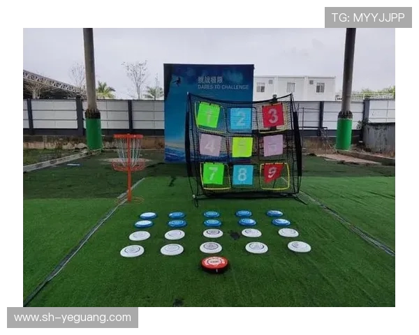 武汉飞盘队实力解析：探秘这支团队的竞技水平与发展潜力