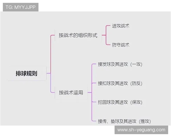 深圳排球队反击战术分析与得失总结探讨
