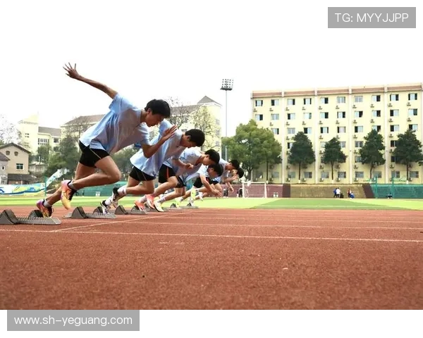 体育竞技中的科技创新与运动员训练模式的变革探索